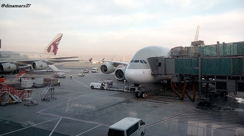 pesawat Qatar Airways yang sama yang saya amati dari balik mushola bandara internasional Hamad mulai dari dini hari sampai lewat waktu subuh. (foto: dokpri)